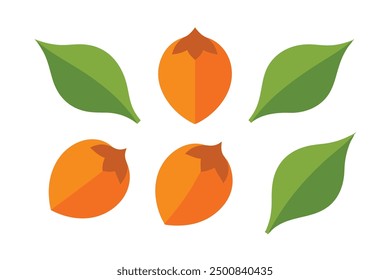 Persimmon Leaf Color Art Realistic Leaf Design with Warm Hues