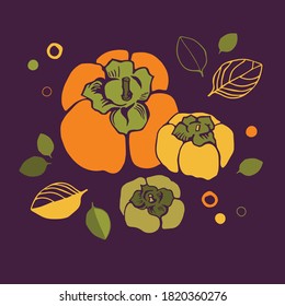 Persimmon sobre fondo de color. Estilo plano.
Ilustración para envolver papel, postales, huellas para ropa y emblemas.