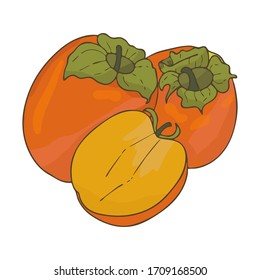 Persimmon orange fruit.Whole and sliced fruit.Doodle style.Vector image.