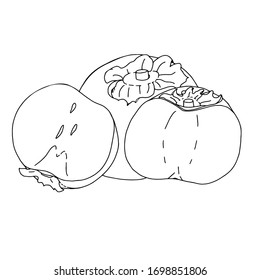 Persimmon outline drawing.Black and white image of a fruit in the Doodle style.Whole and sliced fruit.Coloring.Vector image