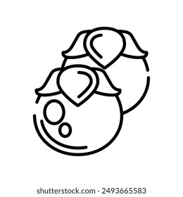 Persimmon Outline Icon, Vector illustration