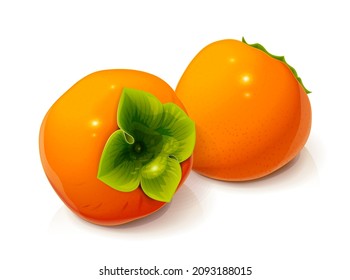 Persimmon. Ripe, fresh, useful fruit, Isolated on white background. Eps10 vector illustration.