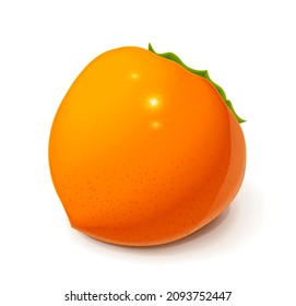Persimmon. Ripe, fresh, useful fruit, Isolated on white background. Eps10 vector illustration.