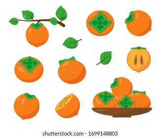 Persimmon set isolated on white background. Fresh whole, half and branch of persimmon. Vector illustration.