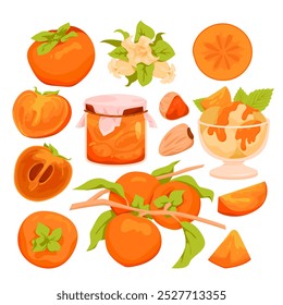 Persimmon set. Whole and half, slice of fresh orange fruit with seeds, dried persimmon and harvest on branch with green leaves, blossom and jam jar, sweet vitamin dessert cartoon