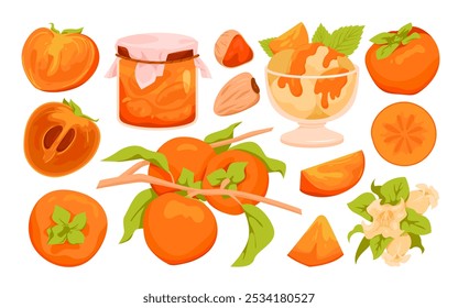 Conjunto de caqui. Entero y medio, rebanada de fruta de naranja fresca con semillas, caqui seco y cosecha en rama con hojas verdes, flor y tarro de mermelada, Ilustración vectorial de dibujos animados de postre de vitaminas dulces