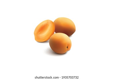 Persimmon soft fruit illustration isolated on white background