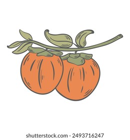 Kaki-Ast mit reifen Orangenfrüchten