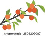 Persimmon tree illustration. simple cartoon format