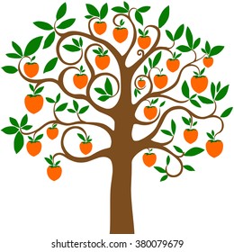 Persimmon tree isolated on White background. Vector illustration 