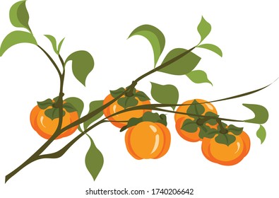 persimmon tree for mid august festival vector