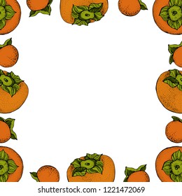 Persimmon vector frame. Isolated hand drawn vector objects with large and small Persimmons. Fruit cartoon style illustration. Detailed vegetarian food sketch.