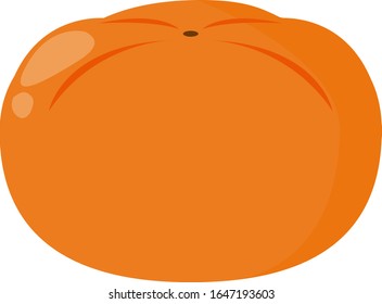Persimmon vector illustration, autumn fruit