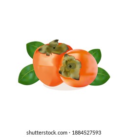 Persimmon vector illustration. Persimmon vector illustration on white background. Color food illustration. Design element. Printable.