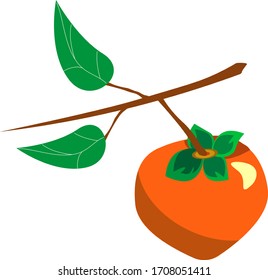 Persimmon. Vector  on a tree branch with leaves. In flat style illustration.