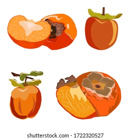 Persimmon ganz und Schnitt einzeln auf weißem Hintergrund. Sliced Sharon Frucht Vektorgrafik. Kollektion für Design, Banner, Menü, Poster.