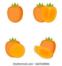 Persimmon, whole fruit, half, slice, vector illustration