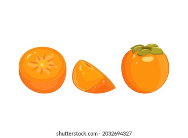 Persimmon whole, half, cutaway, isolated on white background. Vector illustration of an orange fruit.