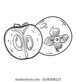 Persimmon, whole and half, outline vector illustration isolated on white background, eps10