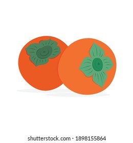 Persimmons. Persimmons color flat vector illustration. Hand drawn persimmons graphic. Part of set.