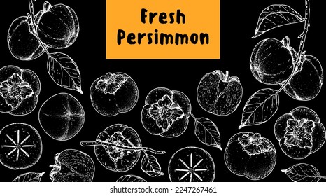 Persimmons fruit hand drawn design. Vector illustration. Design, package, brochure illustration. Persimmon fruit frame illustration. Design elements for packaging design and other.