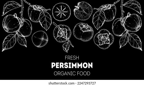 Persimmons fruit hand drawn design. Vector illustration. Design, package, brochure illustration. Persimmon fruit frame illustration. Design elements for packaging design and other.