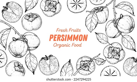 Persimmons fruit hand drawn design. Vector illustration. Design, package, brochure illustration. Persimmon fruit frame illustration. Design elements for packaging design and other.