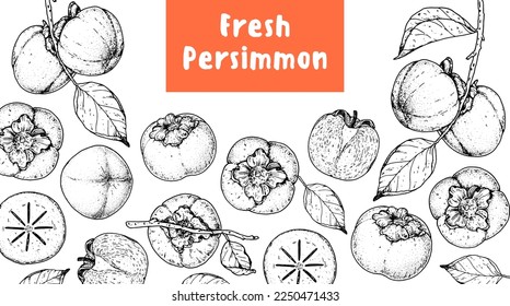 Persimmons fruit hand drawn design. Vector illustration. Design, package, brochure illustration. Persimmon fruit frame illustration. Design elements for packaging design and other.