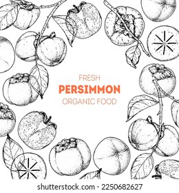 Persimmons fruit hand drawn design. Vector illustration. Design, package, brochure illustration. Persimmon fruit frame illustration. Design elements for packaging design and other.