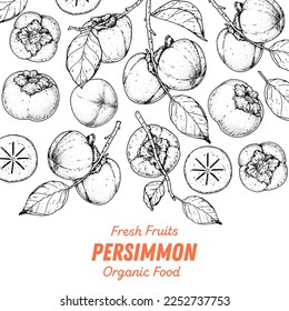 Persimmons fruit hand drawn design. Vector illustration. Design, package, brochure illustration. Persimmon fruit frame illustration. Design elements for packaging design and other.