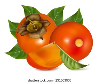 Persimmons with leaves. Vector illustration.