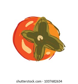 Persimon hand drawn vector illustration for your design