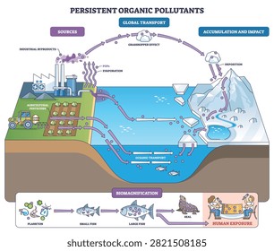 Persistent organic pollutants pathway shows how factory emissions and farm pesticides travel by air and ocean, bioaccumulate in fish, and reach people in polar regions, transparent background.