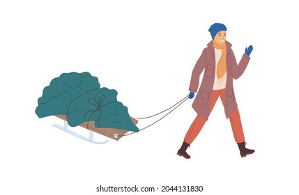 Person carrying Christmas fir tree on sled on winter holidays time. Happy man pulling sledge with fresh festive firtree on Xmas eve in December. Flat vector illustration isolated on white background