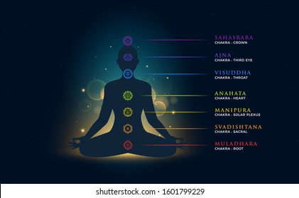 a person doing Meditation with chakra description. Isolated Vector Illustration