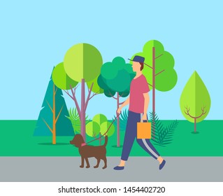 Person going with dog in park, side view of human in casual clothes, pet with lead, man or woman holding package, walking near trees, leisure vector