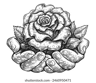 Manos de persona sosteniendo rosa. Flor en mano. Vector de dibujo de bocetos de Clipart