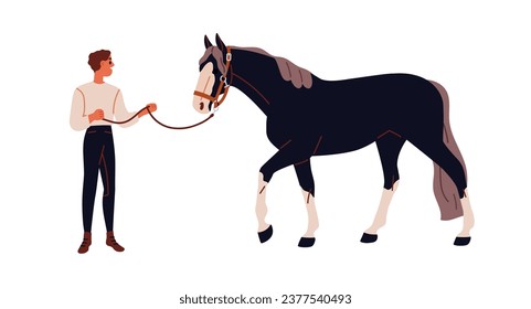 Persona y caballo. Hombre de pie ecuestre, sosteniendo el stallion con brida, arnés, cuerda. Comunicación, entrenamiento, vestimenta de animales equinos. Ilustración vectorial plana aislada en fondo blanco