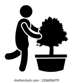 Person is looking after a tree, tree care 