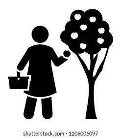 Person is looking after a tree, tree care 