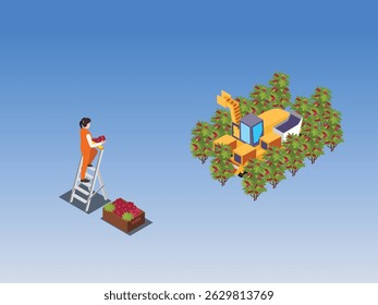 a person on a ladder picking fruit from a tree. Nearby an automated machine with a crane-like arm is harvesting fruit from other trees isometric 3d vector illustration