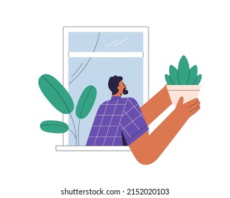 Person in open window, holding leaf plant in pot for decorating outside of house. Man with houseplant for home decoration, urban jungle. Flat vector illustration isolated on white background