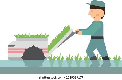 A person planting rice with a walking rice transplanter