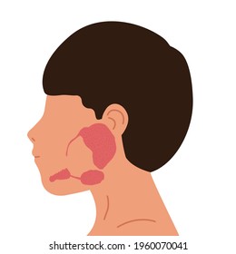 Person and salivary glands, parotid, submandibular and sublingual glands. Medical vector illustration.