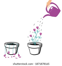 Person Is Watering Plant With Water Can, Flower Is Growing Or Plant Is Dead. Concept Of Plant Care, House Plat, Gardening, Plant Growing. Vector Illustration Isolated On White Background