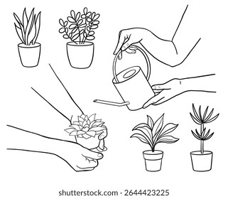 Person is watering plant with water can, flower is growing. Concept of plant care, house plat, gardening, plant growing. Vector illustration isolated on white background