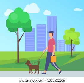 Person wearing casual clothes and cap, dog domestic animal with lead, human holding package. Vector city park with bench and man walking with pet