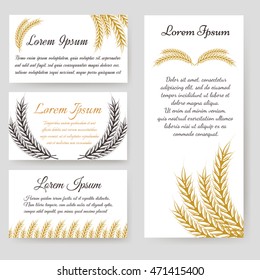 Personal card and flyer harvest design with wheat branches. Vector illustration