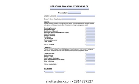 Personal Financial Statement fillable form, color vector illustration
