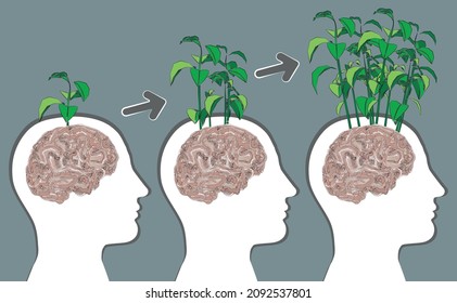 Personal growth and mental improvement